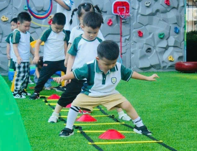 Mầm non Hoa Hồng