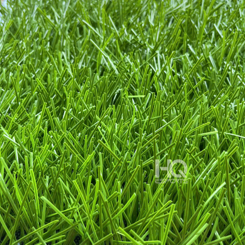 Cỏ sân bóng HQ816W