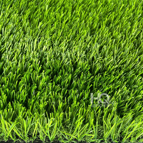 Cỏ Sân Vườn HQ3016C
