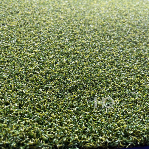 Cỏ Golf HQG1