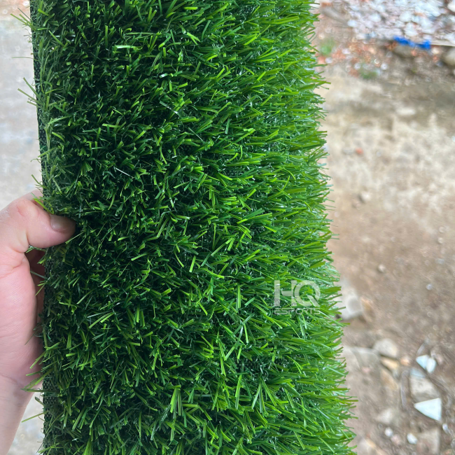 Cỏ sân vườn HQ2014 X