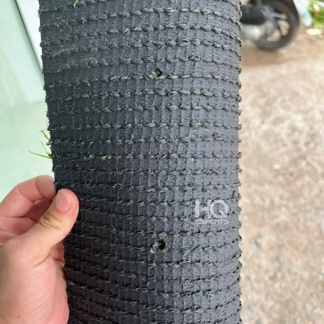 Cỏ Sân Vườn HQ3014 D