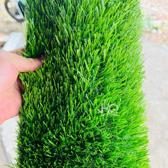 Cỏ Sân Vườn HQ3016C