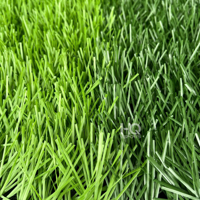 Cỏ Sân Bóng HQ816C
