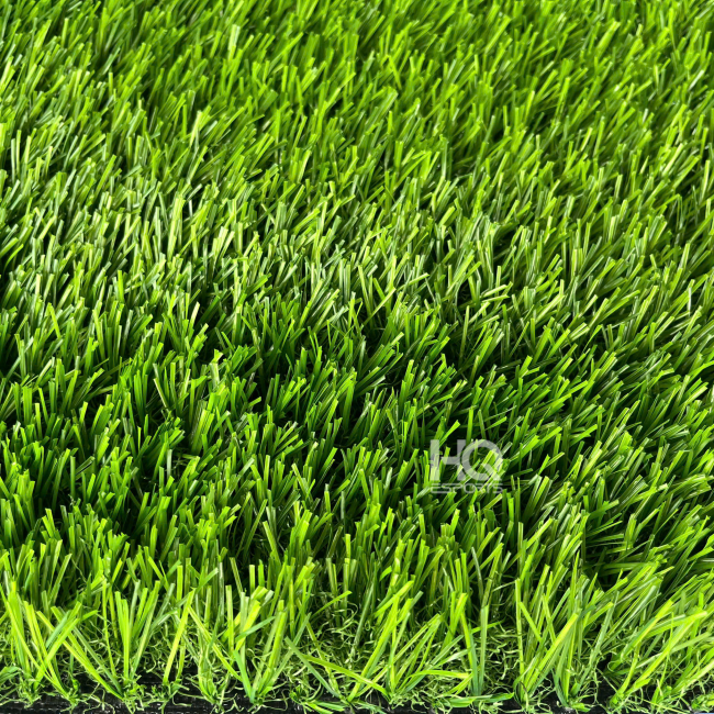 Cỏ Sân Vườn HQ3016C