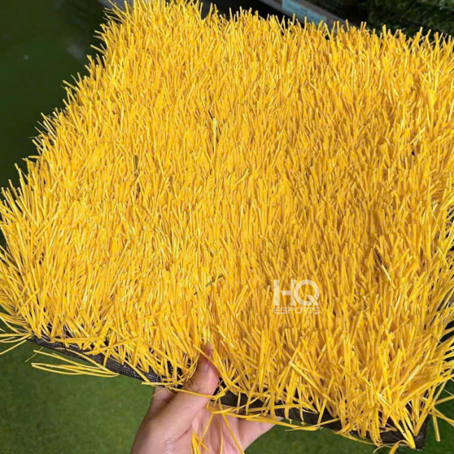 Cỏ Vàng Sân Bóng HQCV12