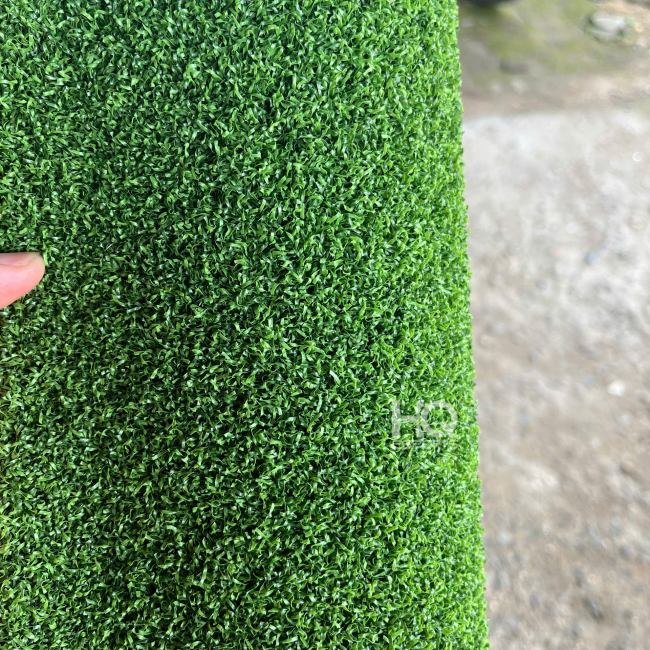 Cỏ Golf HQG2