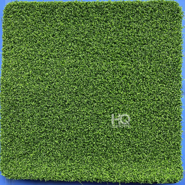 Cỏ Golf HQG2