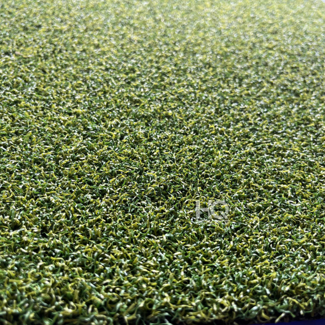 Cỏ Golf HQG1