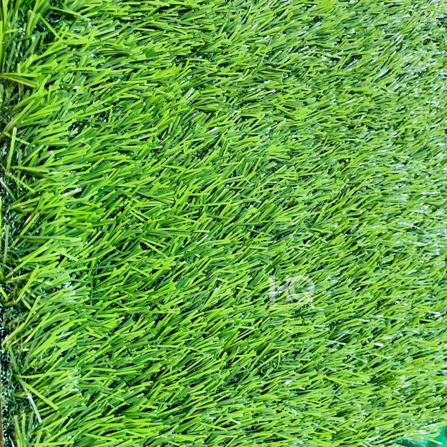 Cỏ Sân Vườn HQ3018 X